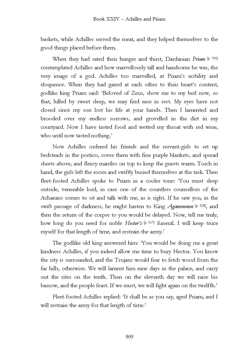 The Iliad - Page 503